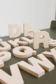 6455.webp